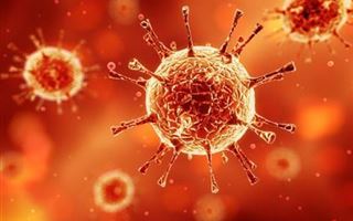 Худшее последствие пандемии COVID-19 назвала вирусолог