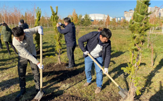 В Ботаническом саду Нур-Султана посадили 150 деревьев