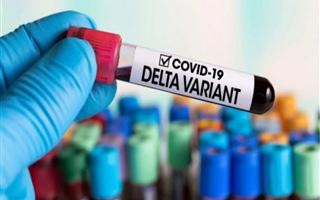 Ученые предупредили об опасной мутации дельта-штамма коронавируса