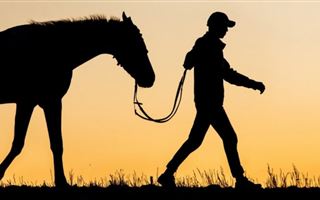 В Алматинской области похитили табун лошадей