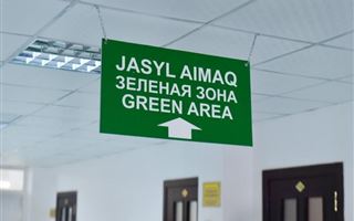 Алматинская область перешла в "зеленую" зону по коронавирусу