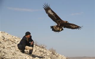 Голландия обскакала Казахстан по количеству охотников с ловчими птицами