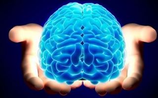 Невролог раскрыла влияние COVID-19 на память