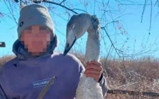 Парень опубликовал фотографию убитого лебедя в Алматинской области