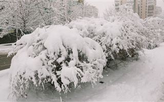 22 ноября в регионах РК ожидается снег