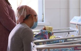 Две двойни и одну тройню родила за 12 лет жительница Туркестанской области
