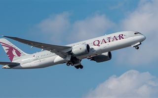 Qatar Airways призвал Airbus признать наличие дефектов в их самолетах