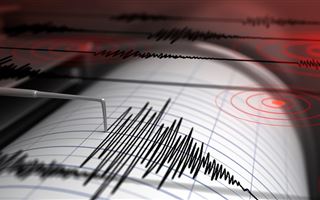 В Аргентине произошло землетрясение магнитудой 4,8