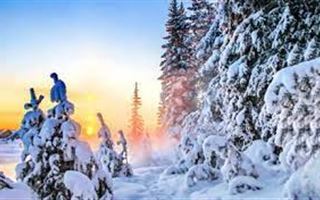 Какая погода ожидает казахстанцев 20 декабря