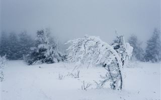 29 декабря в РК сохраняется неустойчивый характер погоды