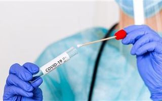 Сколько раз можно заразиться коронавирусом, рассказала врач-эпидемиолог