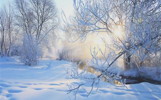 Какая погода ожидает казахстанцев 1 января
