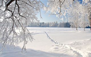 В Казахстане 13 января во многих регионах ожидается погода без осадков