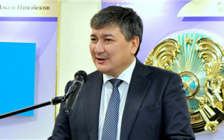 Ерлан Баттаков назначен первым вице-министром торговли и интеграции