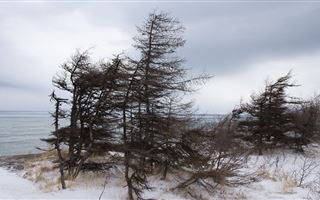 В Алматинской области объявили штормовое предупреждение