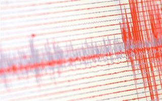 У побережья Японии произошло землетрясение магнитудой 4,6