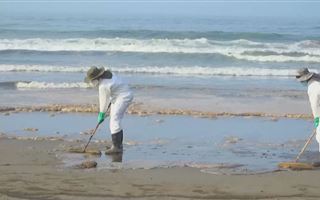 В Перу на побережье произошел масштабный разлив нефти