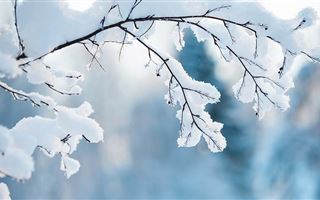 25 января в некоторых регионах РК пройдут осадки в виде снега