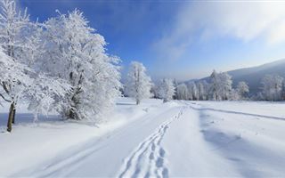 Какой будет погода 26 января в Казахстане