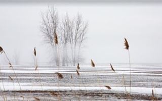 Снег с метелью ожидается в Казахстане в начале февраля