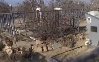 В Актау охотники за металлом разграбили кладбище