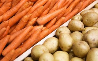Снят запрет на вывоз из Казахстана моркови и картофеля