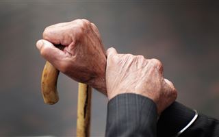 О модернизации пенсионной системы рассказал глава Минтруда РК