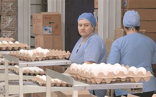 Как серпом по яйцам: почему американские окорочка не облагаются пошлиной