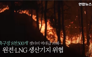 Южную Корею охватили пожары и добрались до атомной электростанции