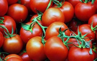 Россия ждет от Казахстана итогов расследования по зараженным томатам