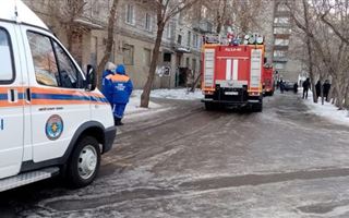 В Павлодаре пожарные спасли мужчину и его питомца