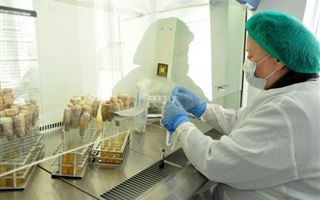 Для чего Казахстану нужны американские биолаборатории - мнение профессора