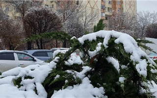 В Туркестанской области выпал снег