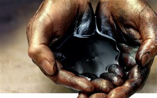 Цену на нефть установили на отметке 117 долларов за баррель