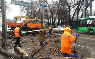 В Алматы в результате урагана пострадали двое мужчин