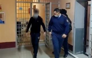 В Туркестанской области полицейские задержали домушника