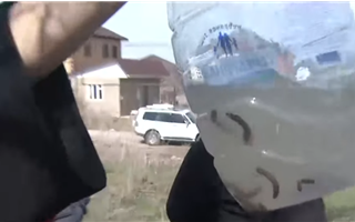 Жители Алматинской области жалуются на питьевую воду с червями 
