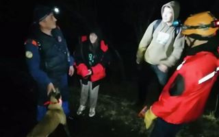 В горах Алматы собака помогла спасти супругов-туристов
