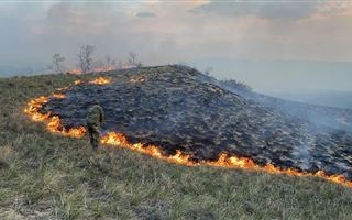 В Восточно-Казахстанской области в природных парках разгорелось два крупных пожара