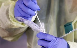 В РК за последние сутки коронавирусом заболели девять человек