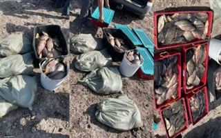В Карагандинской области у браконьера изъяли порядка 300 килограммов рыбы