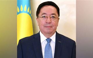 Президент Казахстана объявил выговор послу в Египте