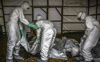 В Конго умер последний заболевший лихорадкой Эбола