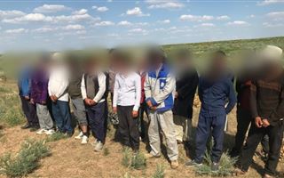 В Туркестанской области граждане Узбекистана незаконно добывали лекарственную траву