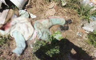 Тело девочки нашли на свалке в Сарканде