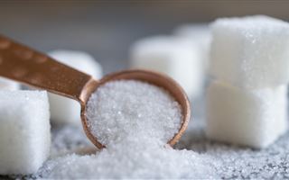Дефицита сахара в Казахстане нет – МСХ РК