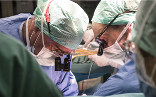 Ученые из Швейцарии разработали новый метод трансплантации печени