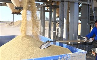 Украинцев волнует казахстанский рис