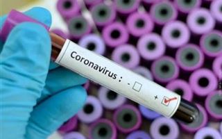 Сколько случаев заболевания коронавирусом выявили в Казахстане за сутки