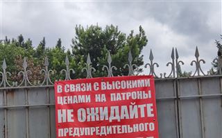 "Средь бела дня как к себе домой при хозяевах": жители частных домов Алматы массово жалуются на воров